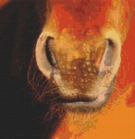 (image for) Snort